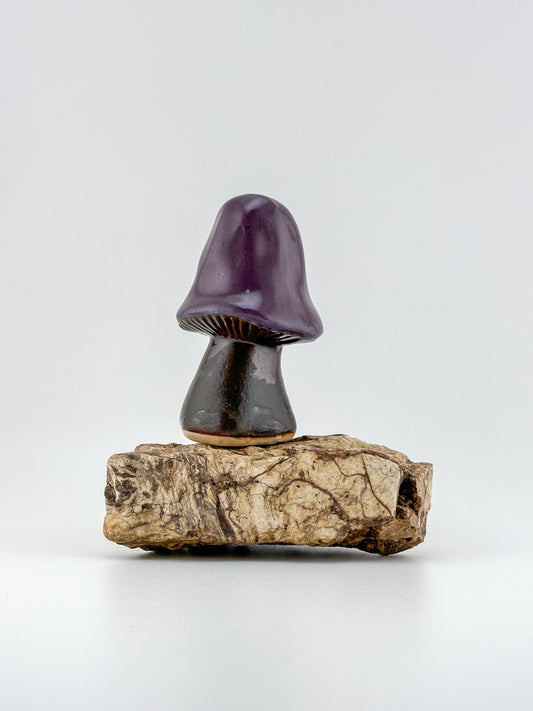 Mushroom Series 1 / Purple Mint / Large