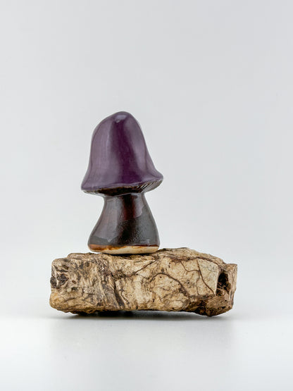 Mushroom Series 1 / Purple Mint / Large